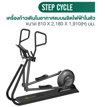Step Cycle